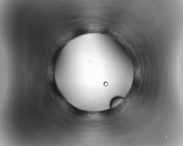 X0000096460666200802141533