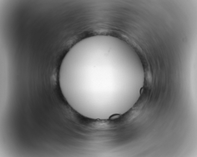 X0000096460668200802141533