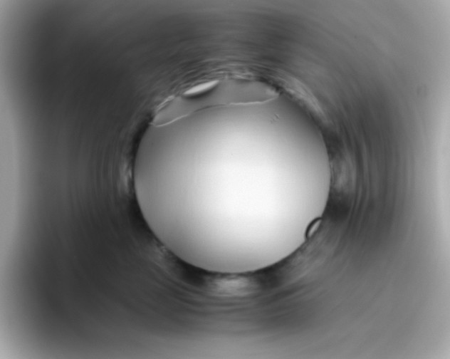 X0000096460669200802141533