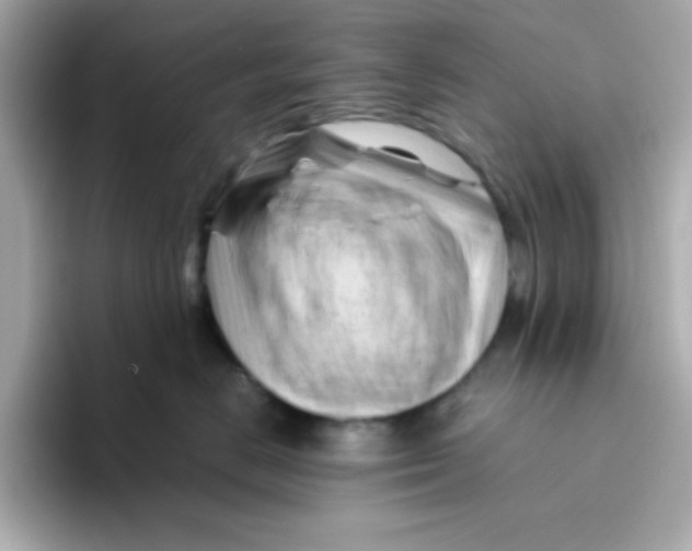 X0000096460670200802141533