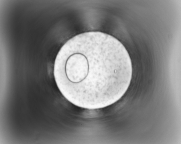 X0000096460672200802141533