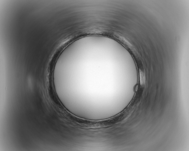 X0000096460675200802141533