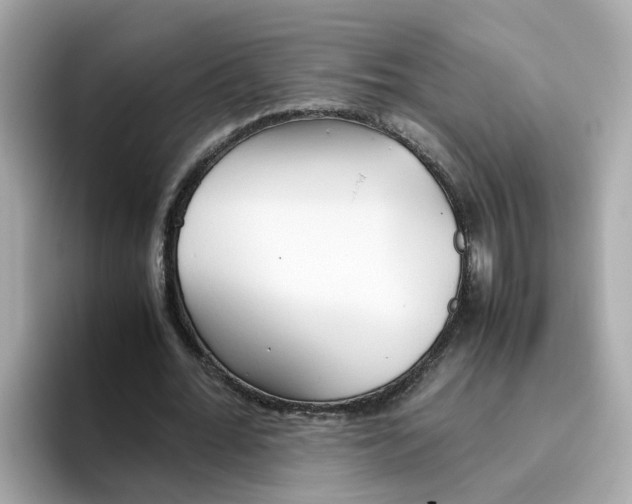 X0000096460676200802141533