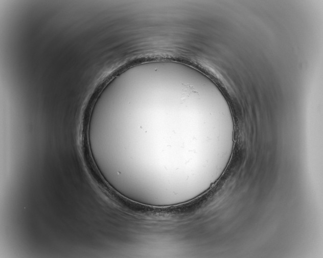 X0000096460677200802141533