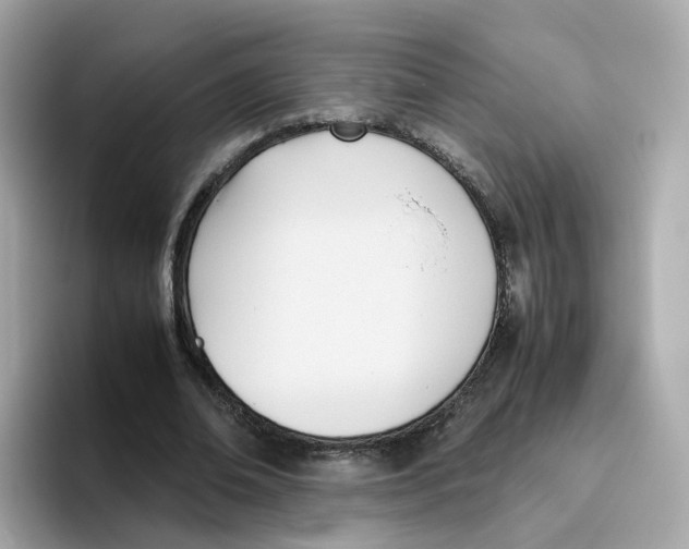 X0000096460678200802141533