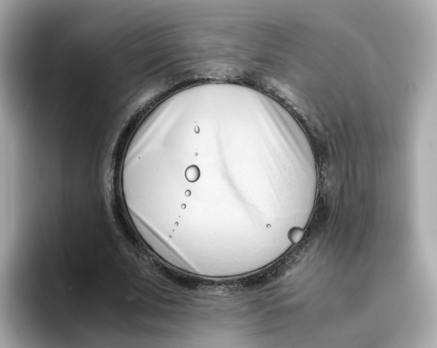 X0000096460679200802141533