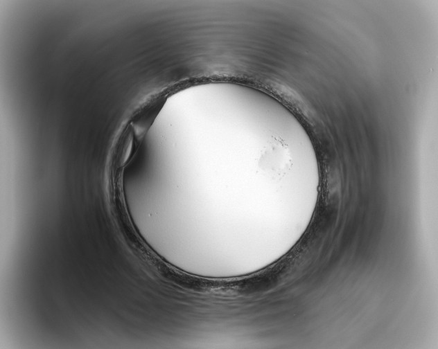 X0000096460680200802141533