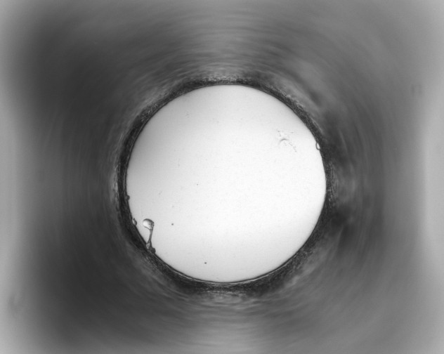 X0000096460681200802141533