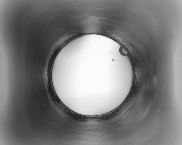 X0000096460682200802141532