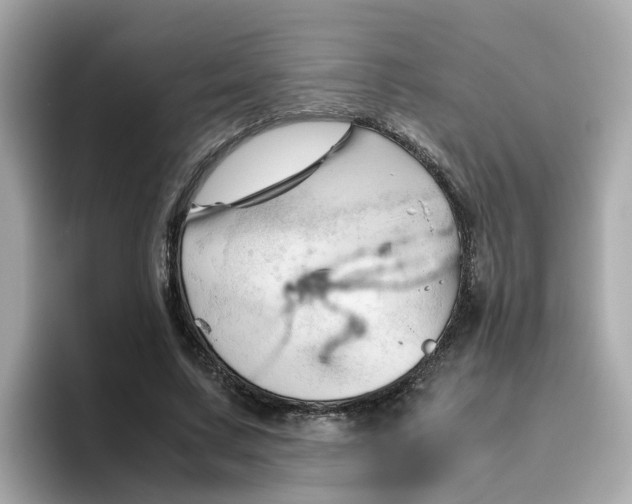 X0000096460683200802141532