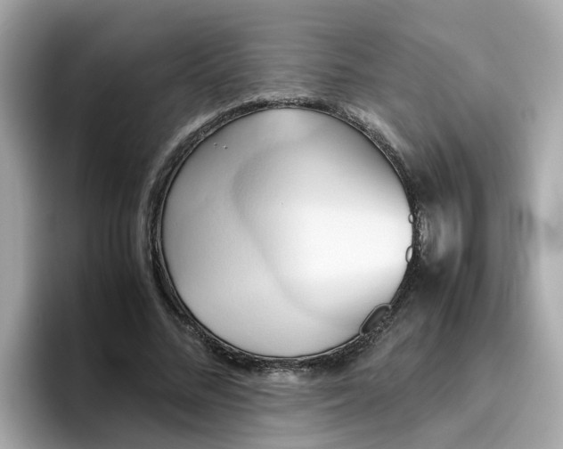 X0000096460684200802141532