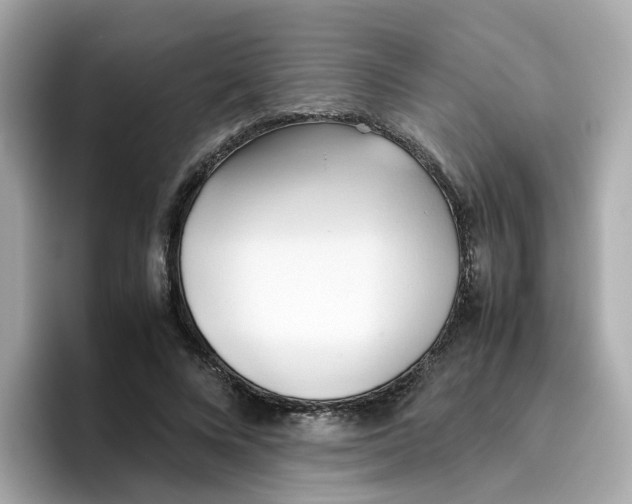 X0000096460688200802141532