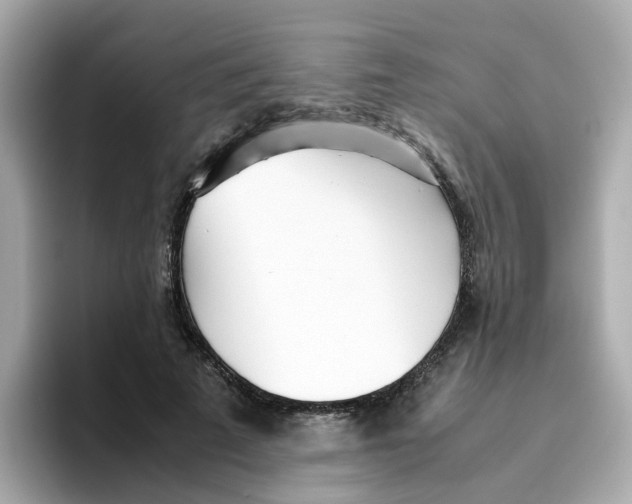 X0000096460689200802141532
