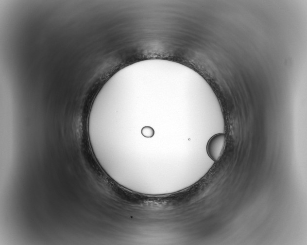 X0000096460690200802141532
