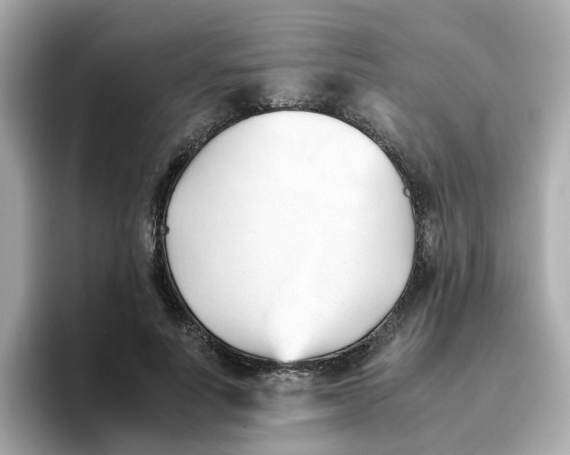X0000096460691200802141532