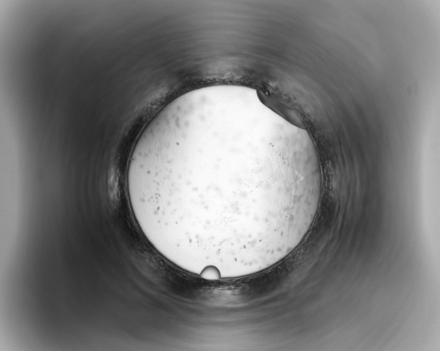 X0000096460692200802141532