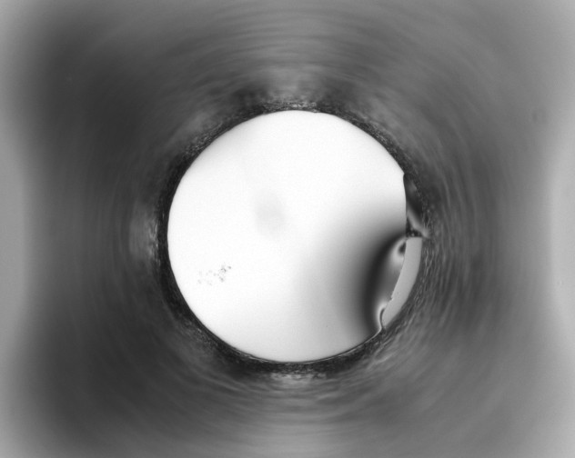 X0000096460693200802141532