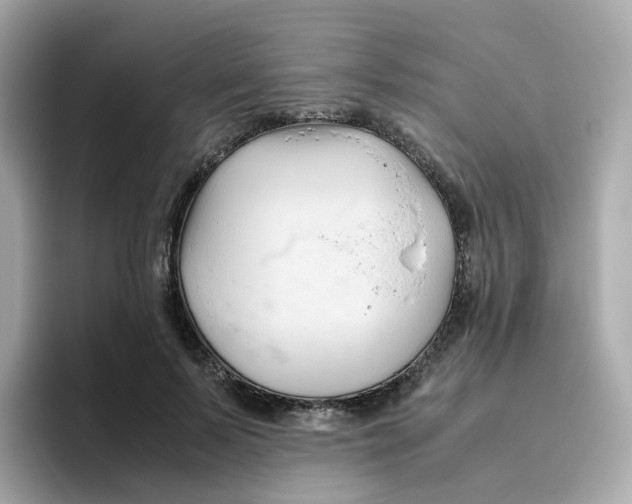 X0000096460695200802141532