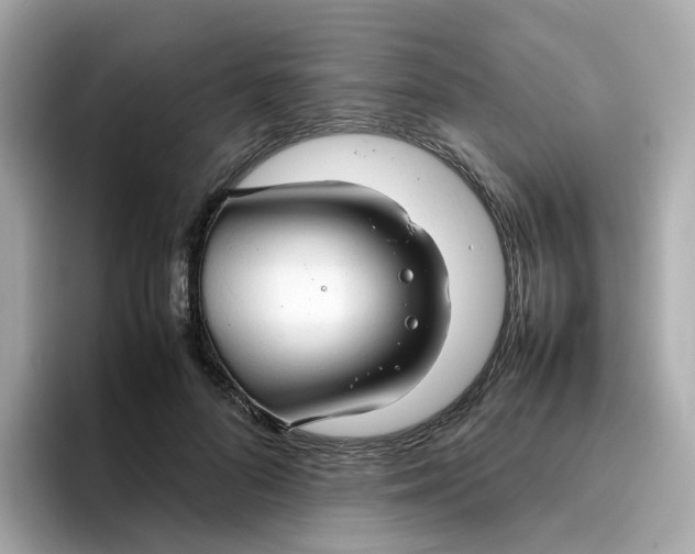 X0000096460696200802141532