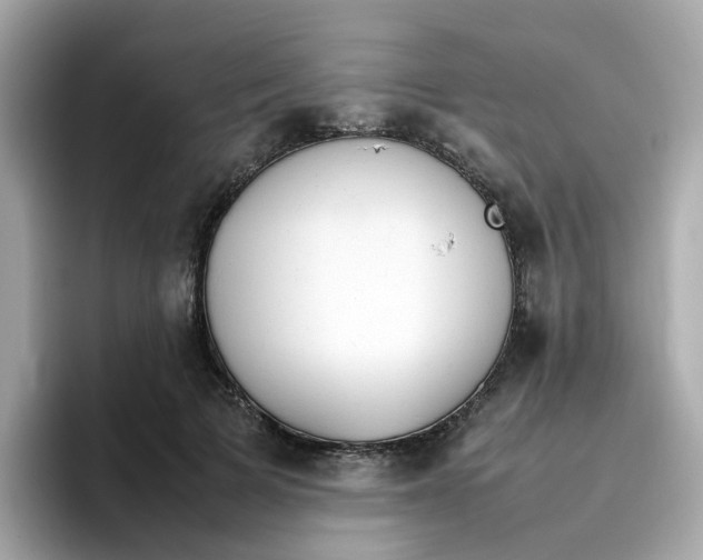 X0000096460697200802141532