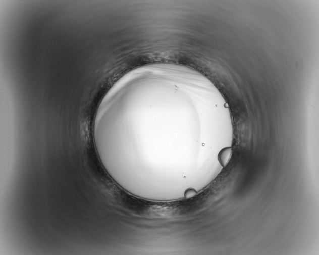 X0000096460699200802141532
