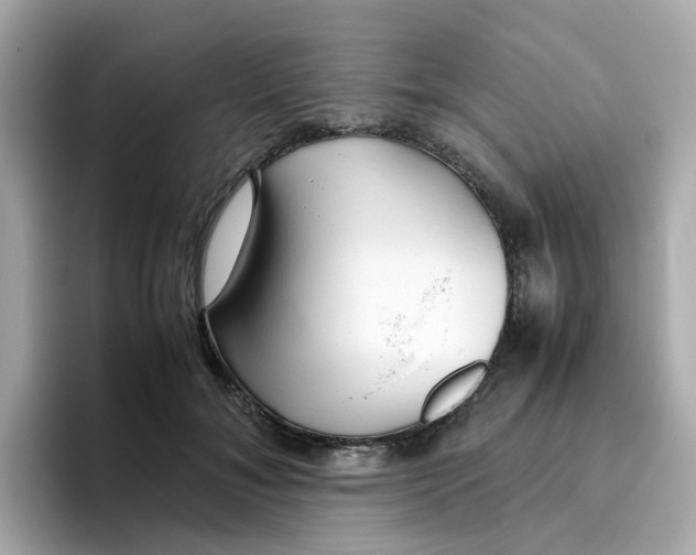 X0000096460700200802141532
