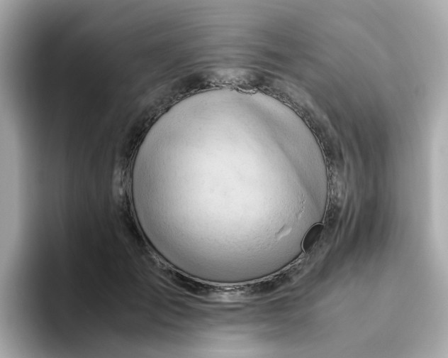 X0000096460701200802141532