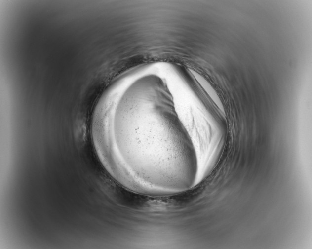 X0000096460703200802141532