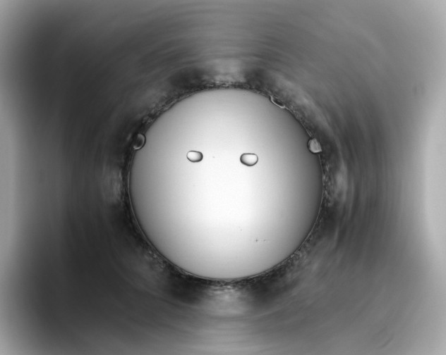 X0000096460704200802141532