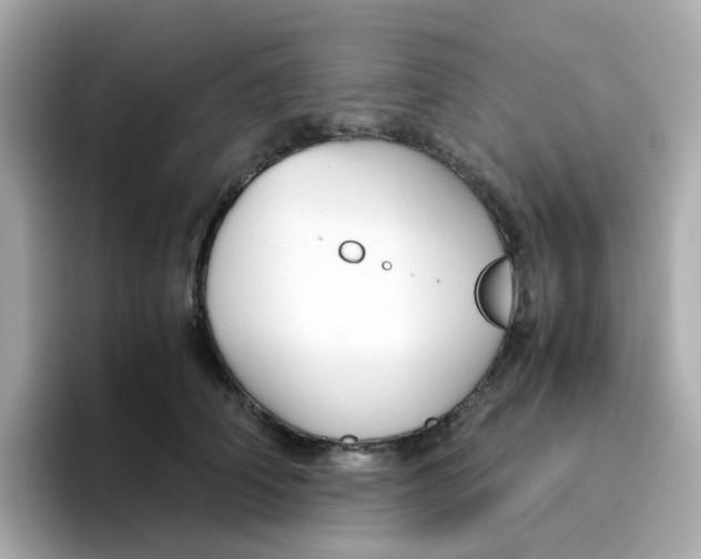 X0000096460706200802141532