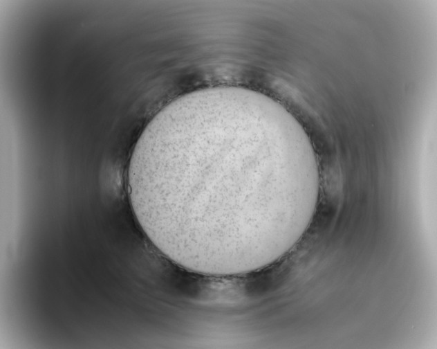 X0000096460709200802141532