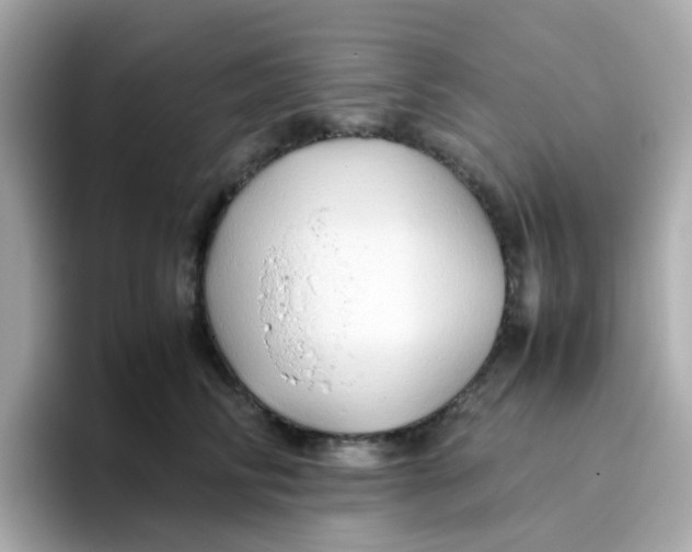 X0000096460710200802141532