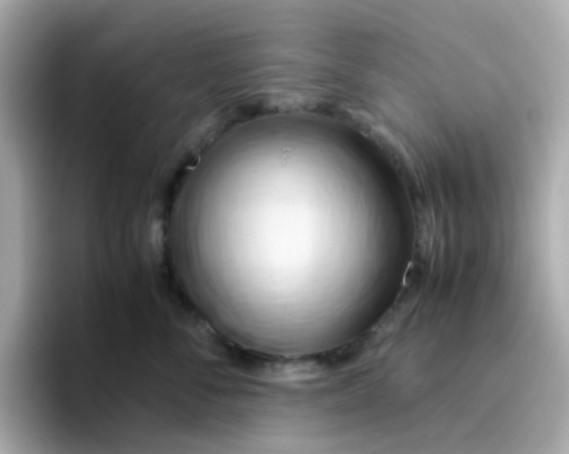 X0000096460716200802141532