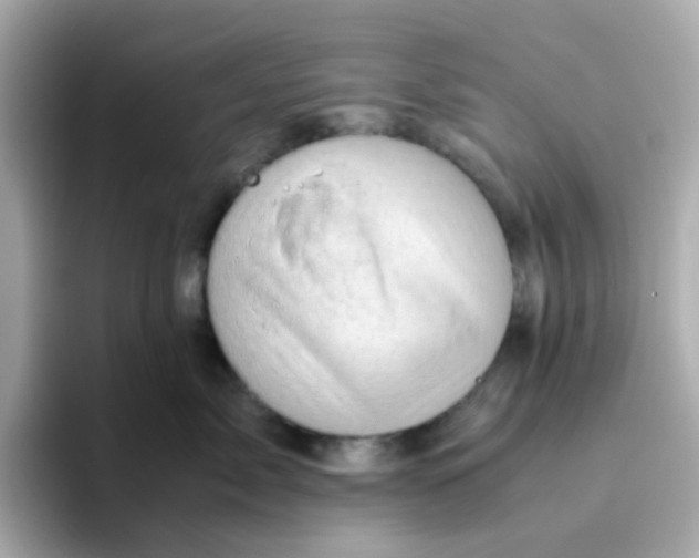X0000096460717200802141532