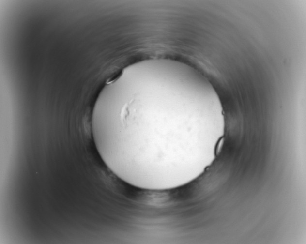 X0000096460719200802141532