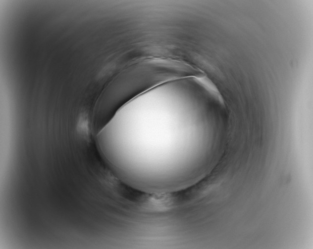 X0000096460720200802141532