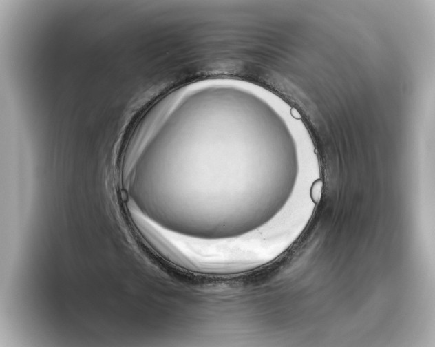 X0000096460721200802141531