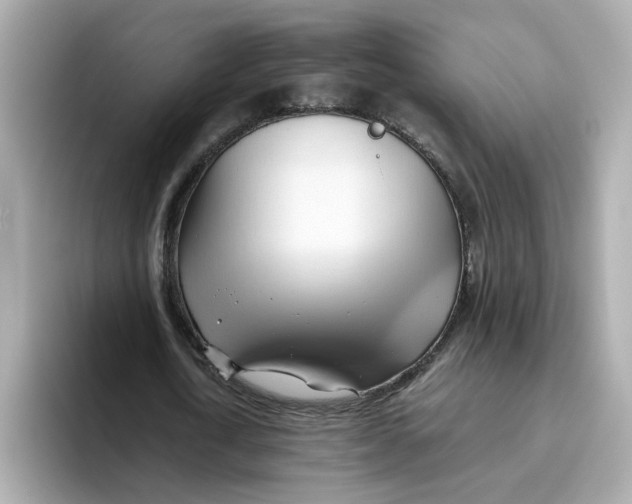 X0000096460722200802141531