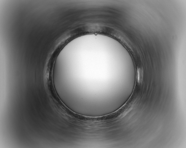 X0000096460723200802141531