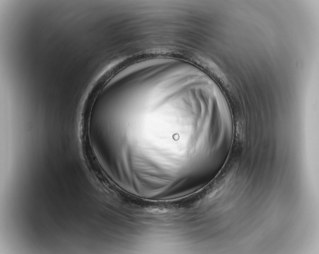 X0000096460724200802141531