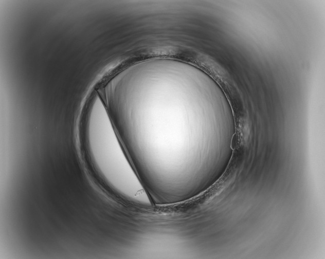 X0000096460726200802141531