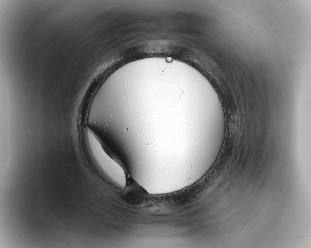 X0000096460727200802141531