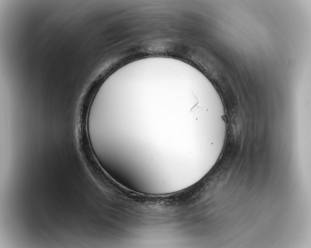 X0000096460728200802141531
