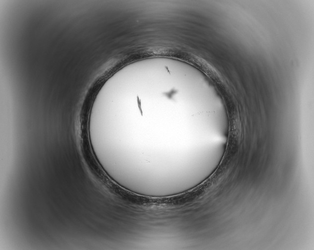X0000096460730200802141531