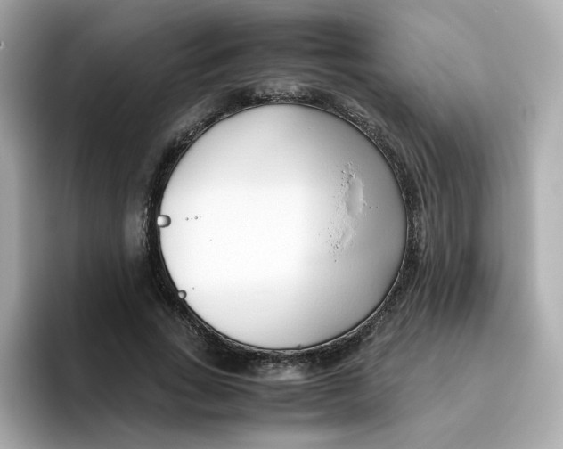 X0000096460735200802141532