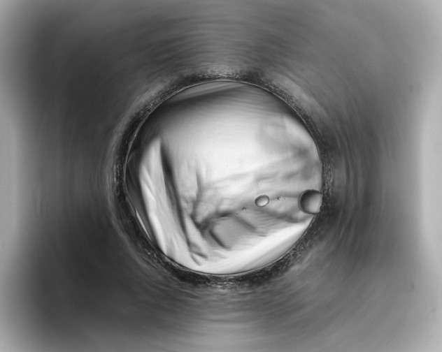 X0000096460736200802141532