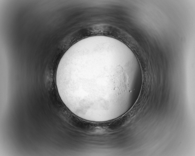 X0000096460737200802141532