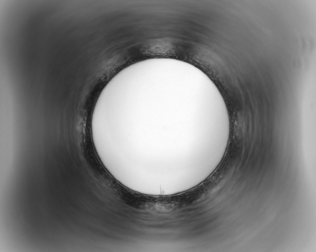 X0000096460739200802141532