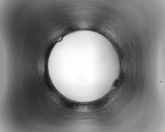 X0000096460740200802141532