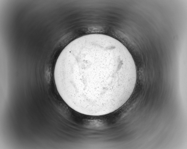 X0000096460741200802141532
